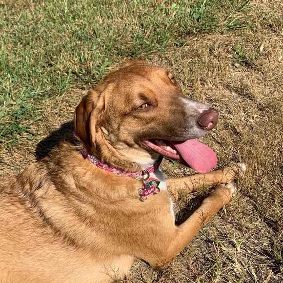 Meet your Posher, Jennifer - Picture 4 of 16